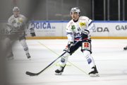 AMBRI - TIGERS
