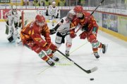 TIGERS - LUGANO