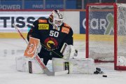 BERN - TIGERS