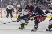 WINNIPEG - ARIZONA