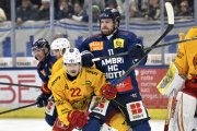 AMBRI - TIGERS