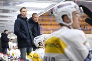 AMBRI - TIGERS