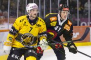 SCB - AJOIE