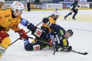 AMBRI - TIGERS