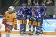 ZUG - TIGERS