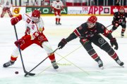 LAUSANNE - MOUNTFIELD