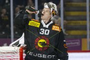 SCB - AJOIE