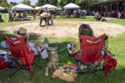 SCHWINGFEST SAN DIEGO COUNTY SWISS CLUB