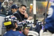 AMBRI - TIGERS