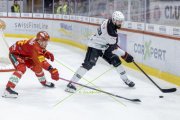 TIGERS - LAUSANNE