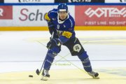 FRIBOURG - TIGERS