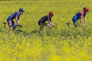 TOUR DE ROMANDIE 2026
