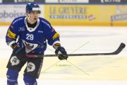 FRIBOURG - TIGERS