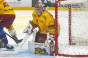 FRIBOURG - TIGERS