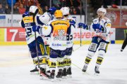 TIGERS - KLOTEN