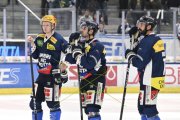 AMBRI - TIGERS