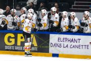 GENF - LUGANO
