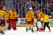 LAUSANNE - TIGERS