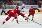 TIGERS - ZSC