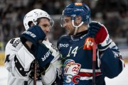 FIALA ALLSTARS - ZSC