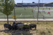 TRAINING LAUSANNE