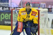 AMBRI - DAVOS