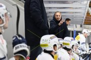 AMBRI - TIGERS