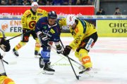 AMBRI - BERN