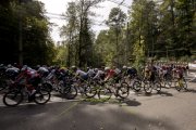 UCI ROAD WC 2024