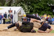 BASELSTAEDTISCHER SCHWINGERTAG
