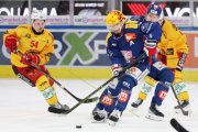 ZSC - TIGERS