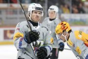 TIGERS - FRIBOURG