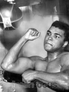 ALI 1942 - 2016