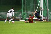 BELLINZONA - WIL