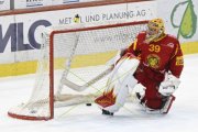 TIGERS - LAUSANNE