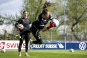TRAINING SCHWEIZ