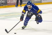 FRIBOURG - TIGERS