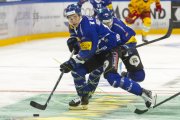 FRIBOURG - TIGERS