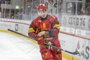 TIGERS - ZSC