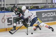 OLTEN - GCK LIONS
