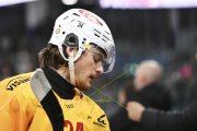 AMBRI - TIGERS