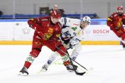 AMBRI - TIGERS