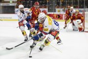 TIGERS - KLOTEN