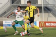 YB - KRIENS