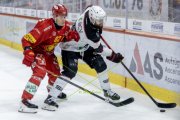 TIGERS - LAUSANNE