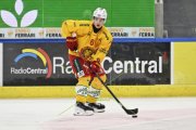AMBRI - TIGERS