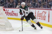 WINNIPEG - ARIZONA
