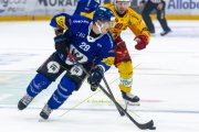 FRIBOURG - TIGERS