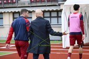 BELLINZONA - WIL