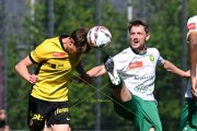 YB - KRIENS